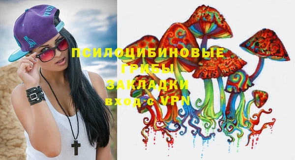 сатива Арсеньев